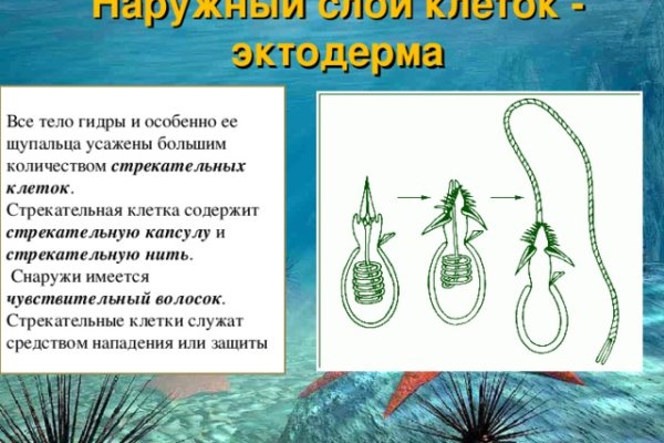 Kraken новая ссылка