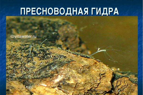 Как зайти на кракен с айфона